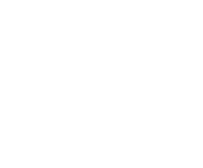 Evolution games at Bzee Bet Casino